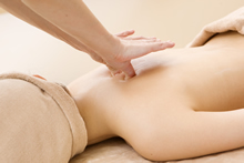 �A���}�{�f�B�g���[�g�����g�@�z�[���[�i�`�����������f�B�[�Y