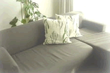 �t�����[�G�b�Z���X�J�E���Z�����O���^���b�g�@�z�[���[�i�`�����������f�B�[�Y