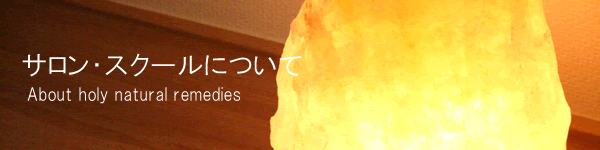 �T�����E�X�N�[���ɂ��ā@�z�[���[�i�`�����������f�B�[�Y