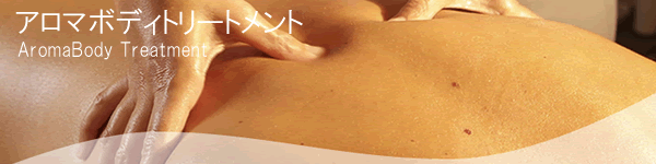 �A���}�{�f�B�g���[�g�����g�@�z�[���[�i�`�����������f�B�[�Y