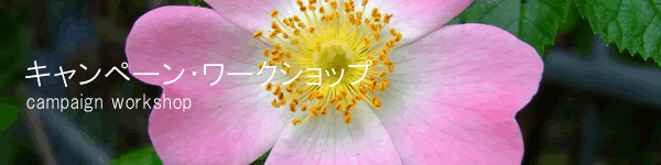 �L�����y�[���E���[�N�V���b�v�@�z�[���[�i�`�����������f�B�[�Y