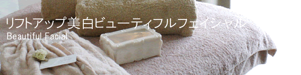 ���t�g�A�b�v�����r���[�e�B�t���t�F�C�V�����@�z�[���[�i�`�����������f�B�[�Y