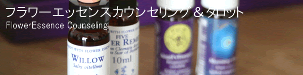 �t�����[�G�b�Z���X�J�E���Z�����O���^���b�g�@�z�[���[�i�`�����������f�B�[�Y