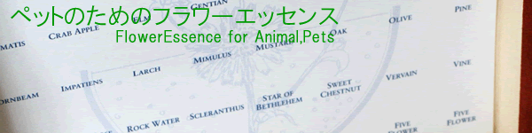 �y�b�g�̂��߂̃t�����[�G�b�Z���X�@�z�[���[�i�`�����������f�B�[�Y