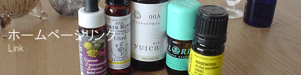 �z�[���y�[�W�����N�@�z�[���[�i�`�����������f�B�[�Y