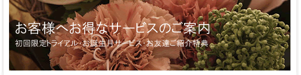 ���q�l�ւ����ȃT�[�r�X�̂��ē��@�z�[���[�i�`�����������f�B�[�Y