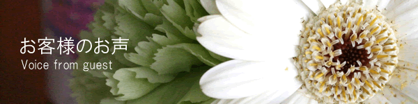 ���q�l�̐��@�z�[���[�i�`�����������f�B�[�Y